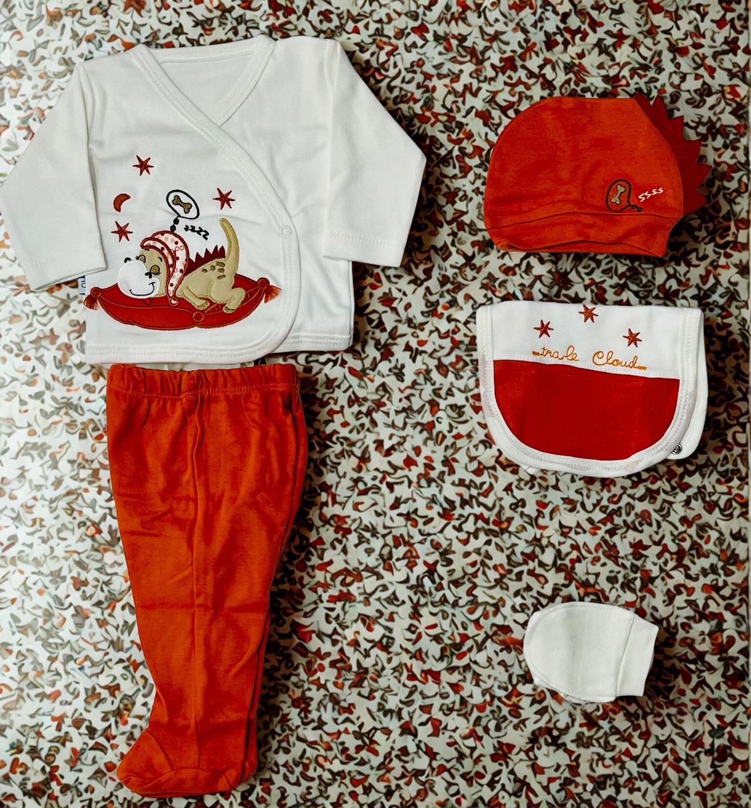 BABY ZUHU 5 PARÇA ERKEK HASTANE ÇIKIŞI